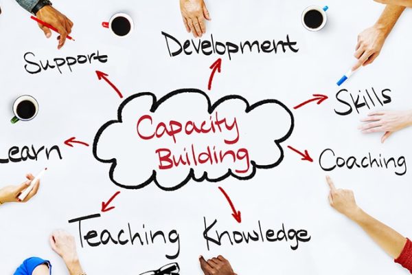 Capacity Building